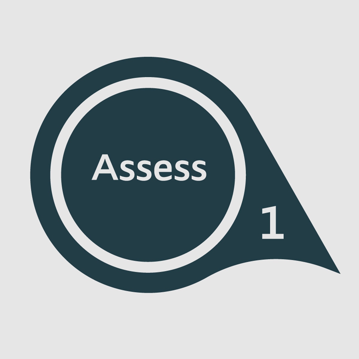 Wound Assessment