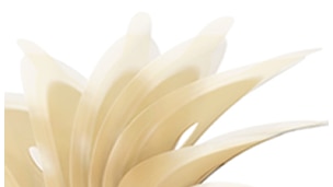 Elastic adhesive
