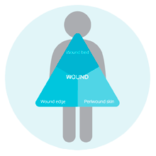 Triangle of Wound Assessment